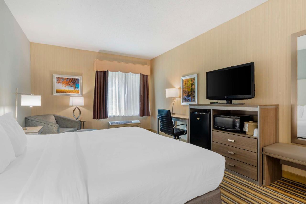 Hotel Western New England & 3*